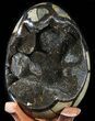 Septarian Dragon Egg Geode - Black Crystals #48003-1